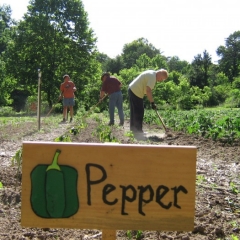 Covenant Community Church | Community Garden