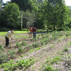 Covenant Community Church | Community Garden