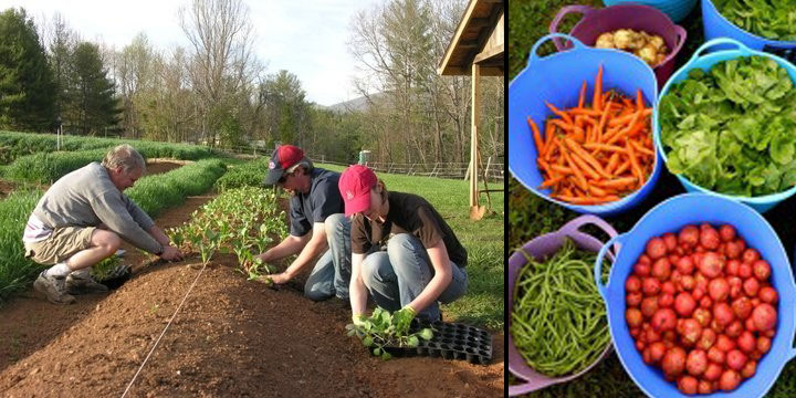 The Lord's Acre Community Garden